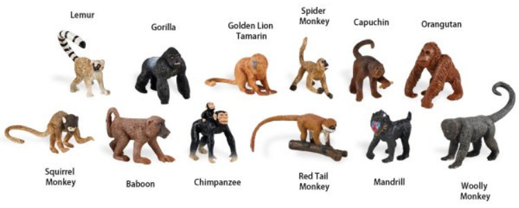 safari-monkeys