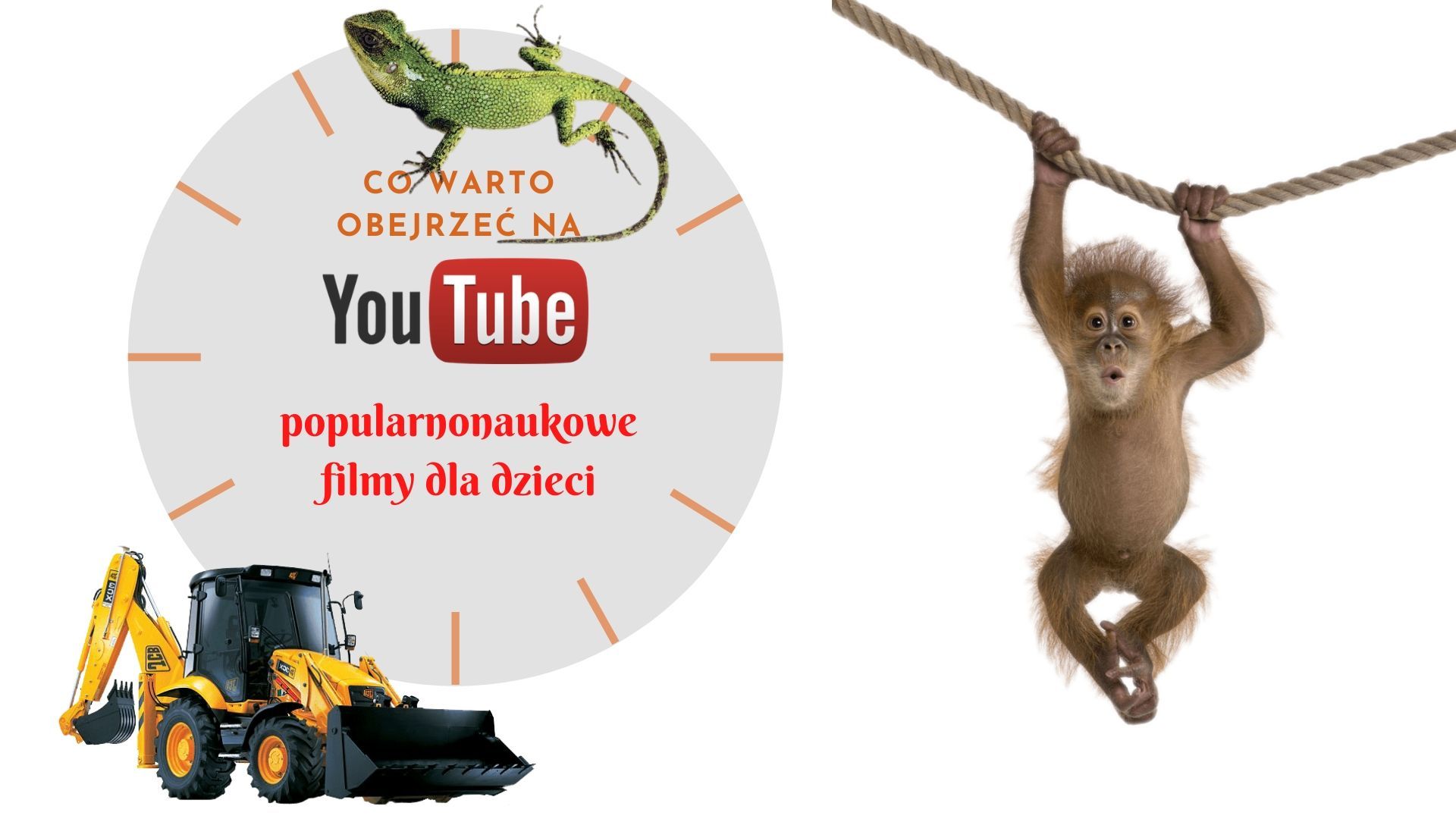 Co obejrzeć na YouTube - popularnonaukowe i przyrodnicze filmy dla dzieci