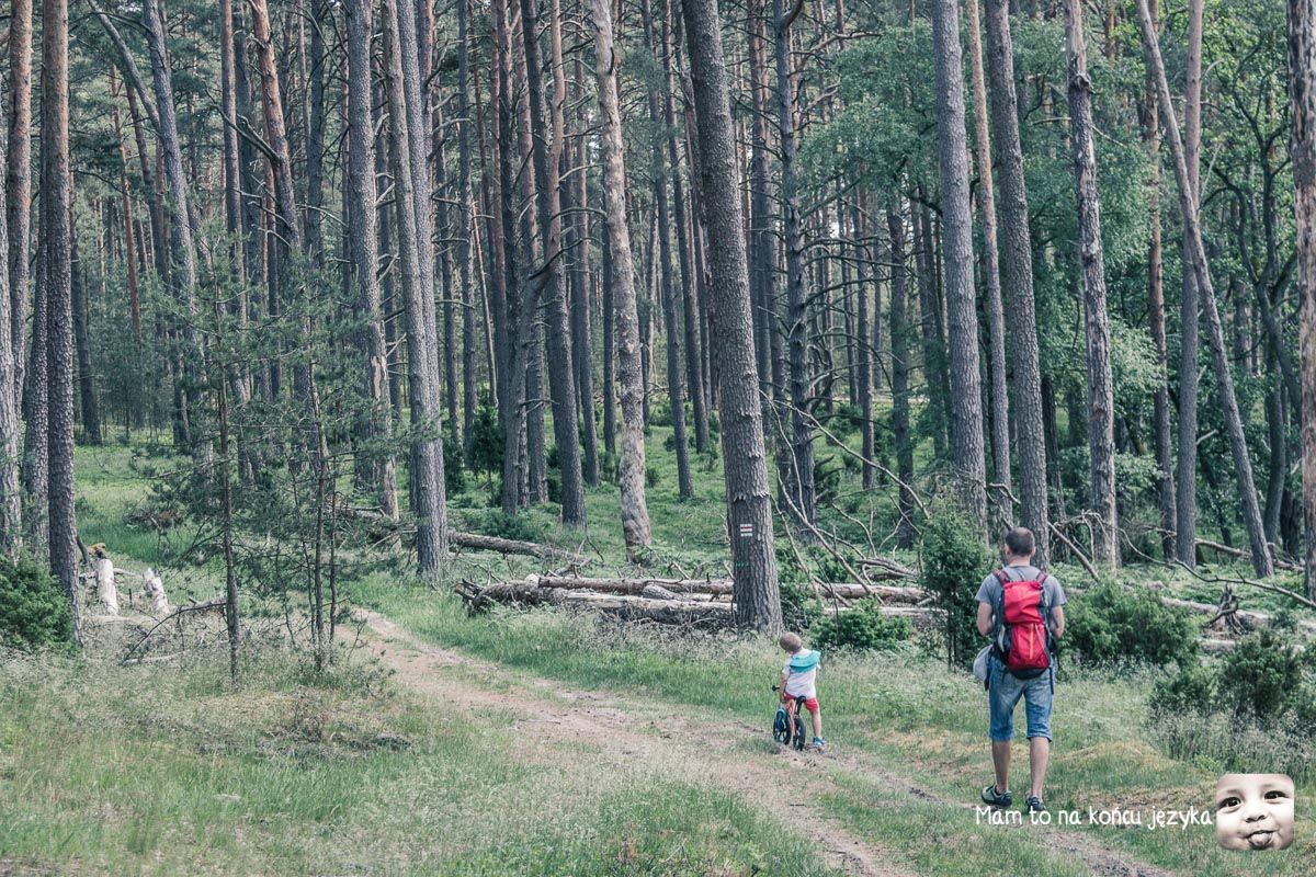 Co dało (blisko) 6 lat dwujęzyczności zamierzonej?